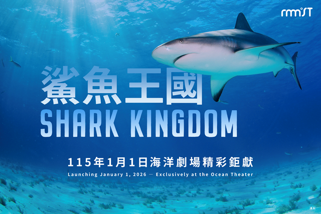 Shark Kingdom
