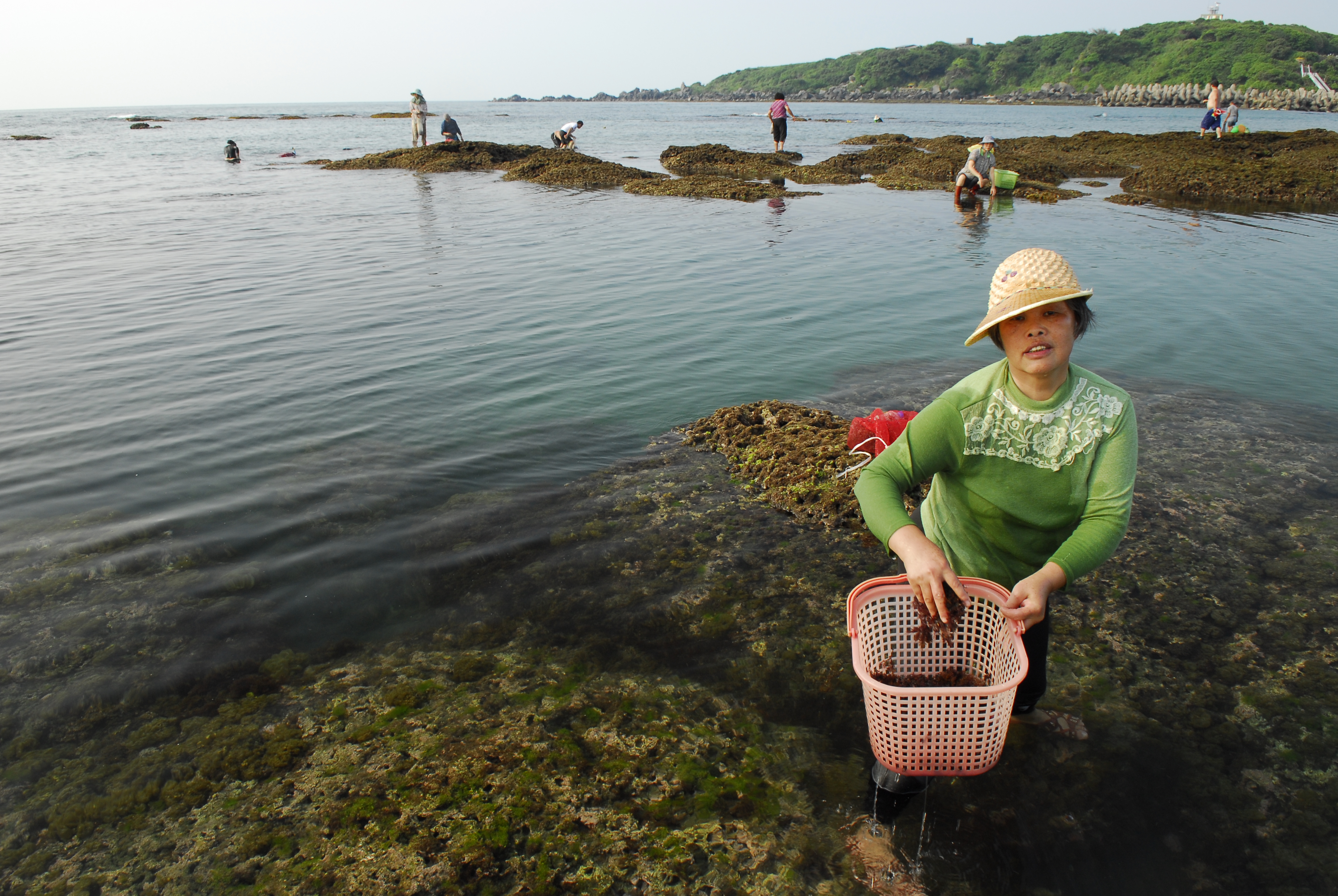 海洋生物的多樣性及其保育PDF檔