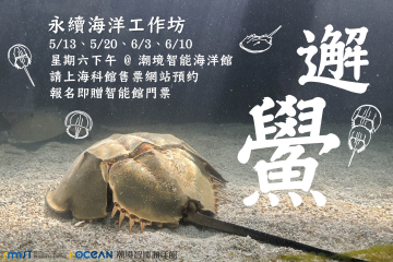 永續海洋工作坊《邂鱟》
