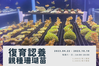 海科館-復育認養親種珊瑚株體驗