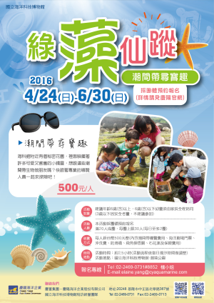 即日起至6/30，綠藻仙蹤潮間帶尋寶趣活動報名中>點我看