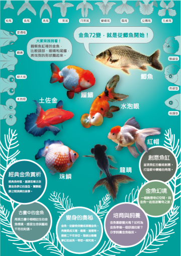 金玉滿堂－迎春金魚特展