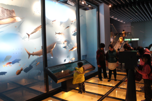 open new window,Our dimensional spaces also allow you to learn more about environmental