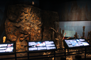 open new window,Hydrothermal Vent Ecosystem