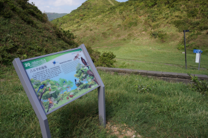 open new window,interpretation boards along the route