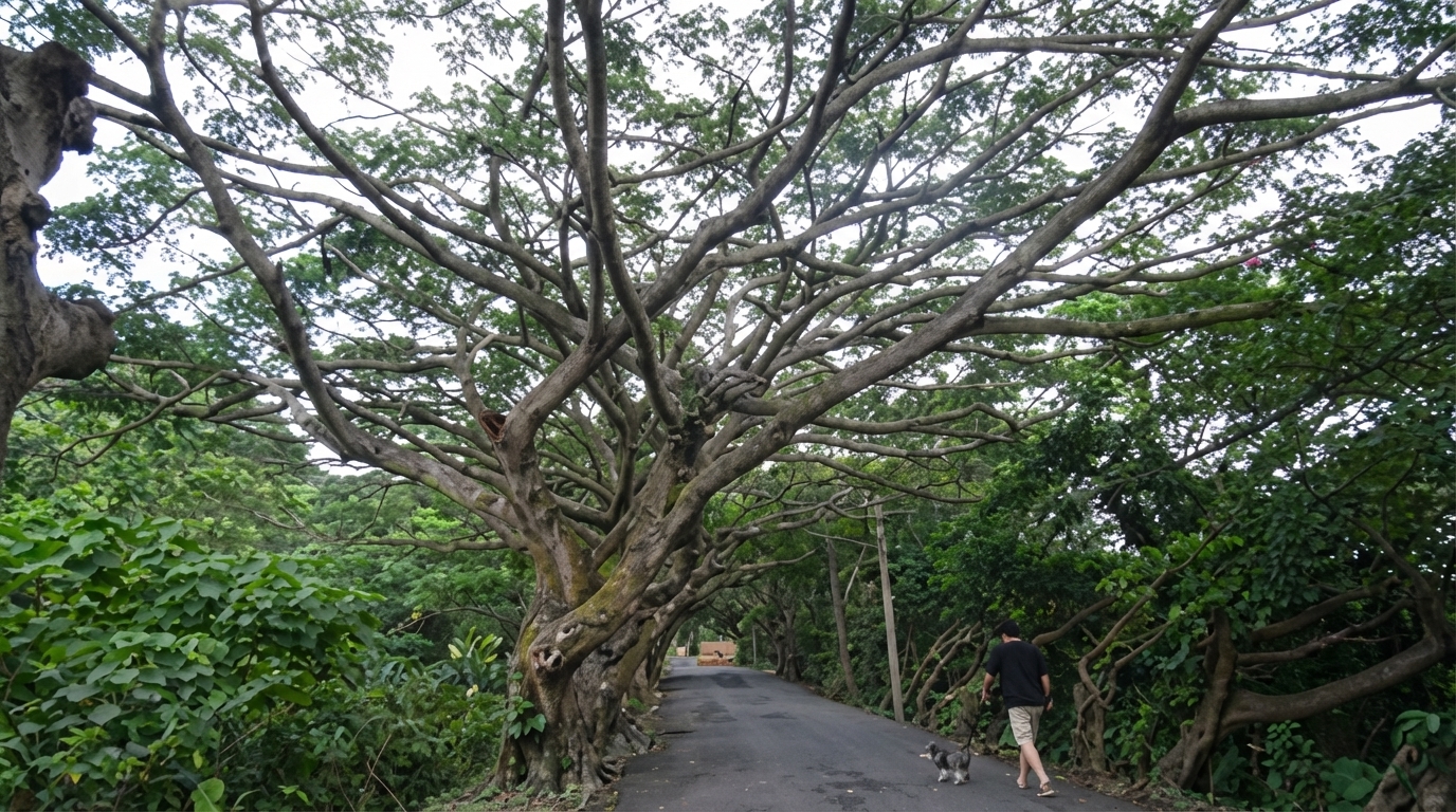 Green Tunnel — Rongxuan Garden