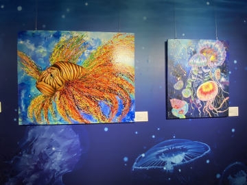 心海特展