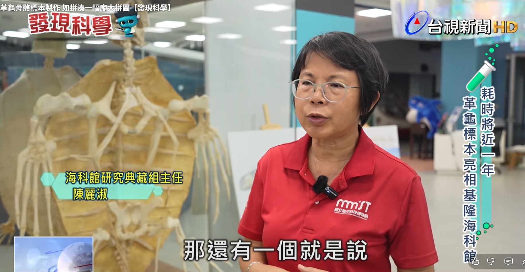 另開新視窗,20251020《台視新聞》革龜骨骼標本製作 如拼湊一幅龐大拼圖