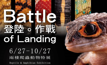 éæ°è¦çª,ç»é¸ã使° - å
©æ£²ç¬è²åç©ç¹å±