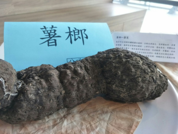 薯榔