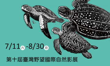野望影展