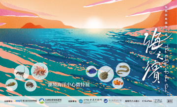 海之濱