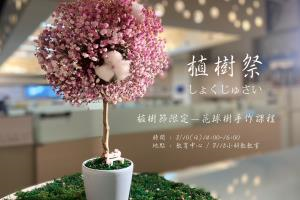 花球樹手作課程