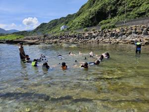 海灣浮潛