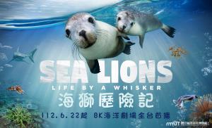 海獅歷險記