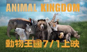 動物王國