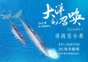 大洋的召喚